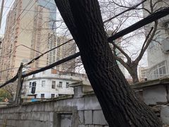 -严氏重油烧麦(民权路店)