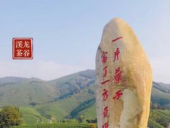 -帐篷客·溪龙茶谷度假酒店