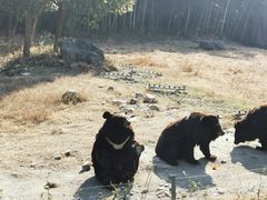 -宁波野生动物园