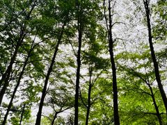 -万科生活广场(东莞松山湖店)