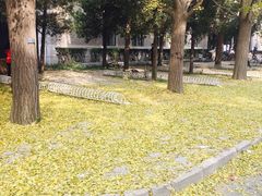 -勺园中餐厅