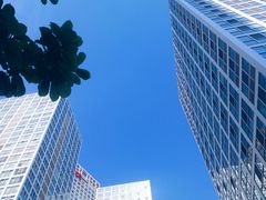 -1点点(银座和谐广场店)