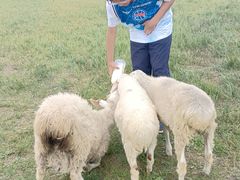 -呼和诺尔旅游景区