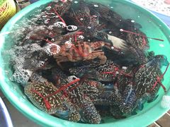 -花乐餐厅(涠洲岛店)