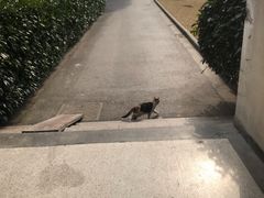 -南京医科大学(江宁校区)