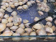 -丰卓会海鲜自助(中润大道店)