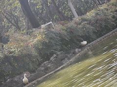 -西安市长乐公园
