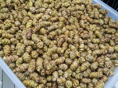 -海勤盛海味干货市场