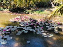 -白沙门生态公园