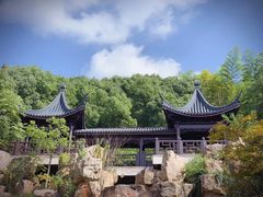 -陶祖圣境风景区