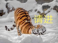 -李师傅脆肚(梅林店)