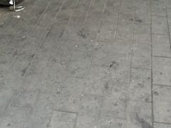 -老南昌白糖糕(大士院店)