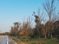 -歌斐颂巧克力小镇