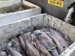 -华源餐厅·海鲜大排档(日月贝店)
