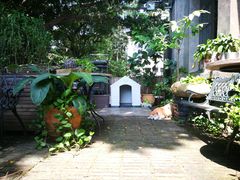 -more than meow吴止猫主题餐厅(承德 中船汇店)