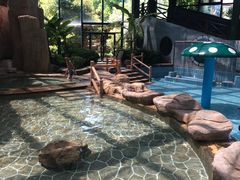 -观唐（国际）度假村温泉