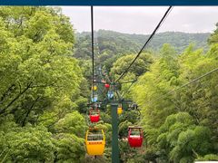 -惠山国家森林公园