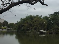 -长洲岛