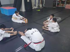 -金翼跆拳道巴西柔术拳击格斗学院