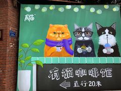 -有猫主题·治愈系猫咖(曾厝垵店)