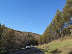 -塞罕坝国家级自然保护区