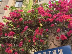 -南宁邕江宾馆