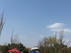 -明秦王墓遗址