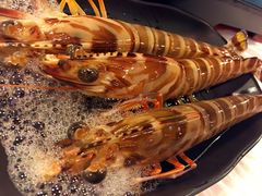 -鲜入围煮花胶鸡海鲜火锅