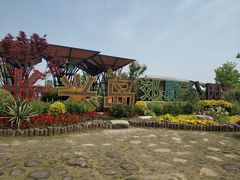 -上海长兴岛郊野公园