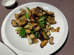 -三千院·东篱(东门店)