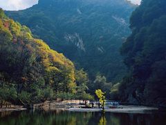 -少华山国家森林公园