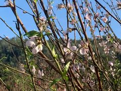 -水濂山森林公园