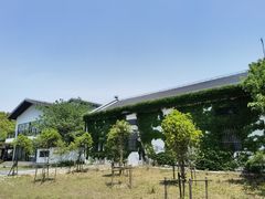 -广富林郊野公园