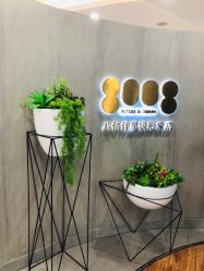 -八佰伴8008星级形象店