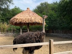 -北京野生动物园