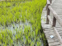 -成都市活水公园