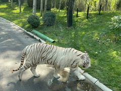 -北京野生动物园