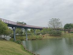 -王借岗森林公园
