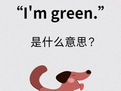-英孚教育青少儿英语(长宁来福士中心)
