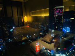 -南京金陵饭店