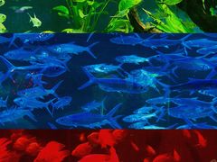 -正佳极地海洋世界