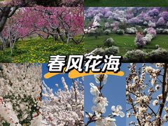 -伊犁河景区