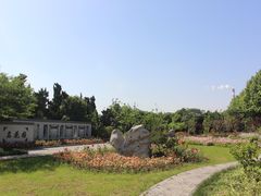-太子山公园(园东路)