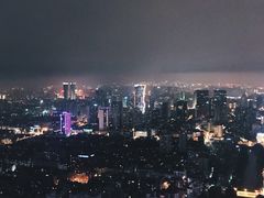 -339旋转餐厅(天府熊猫塔店)