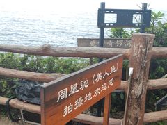-杨梅坑