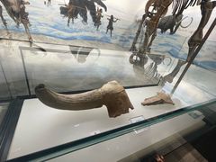 -辽宁古生物博物馆