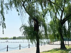 -上海月湖雕塑公园