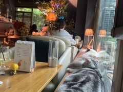 -咖法森林·咖啡  酒吧(天河店)