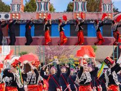 -云南民族村
