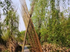 -桤木河湿地公园